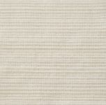 Alimon Stripe- Cotton